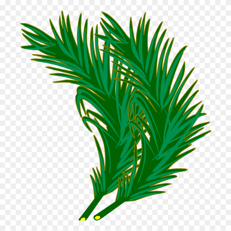 Clip Art - Png Download