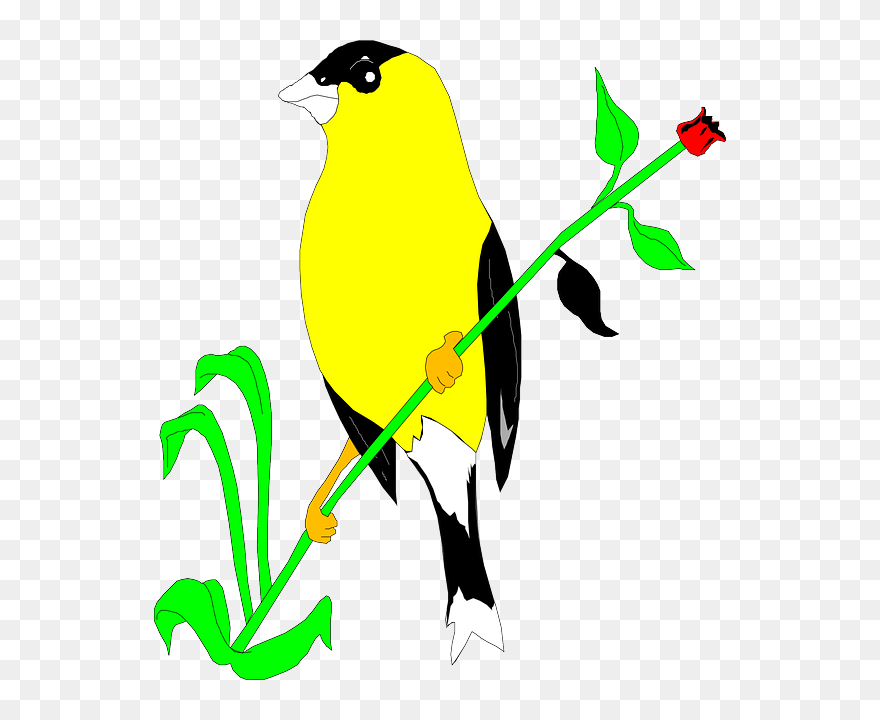 Flower, Bird, Plant, Wings, Animal, Goldfinch, Stem - Goldfinch Clipart