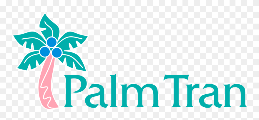 Palm Tran Clipart