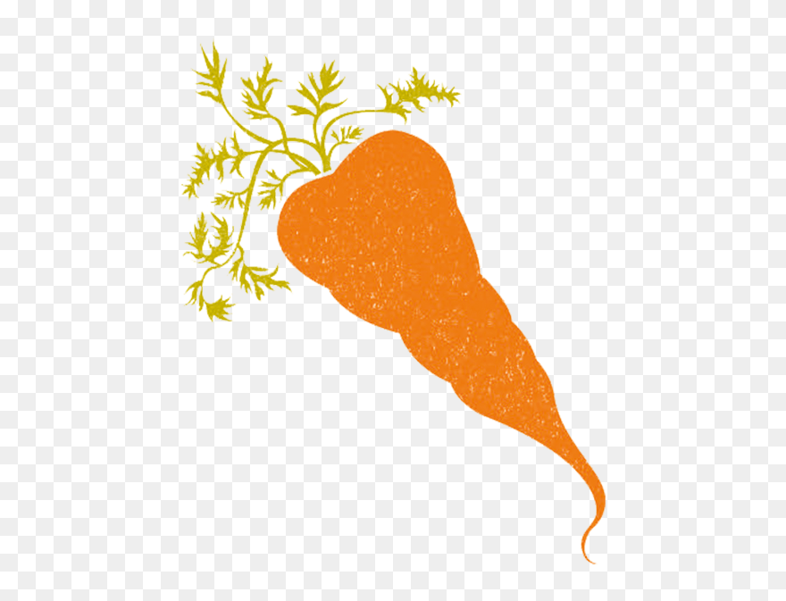 Carrot Clipart