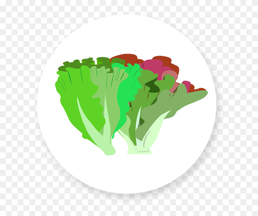 Illustration Clipart