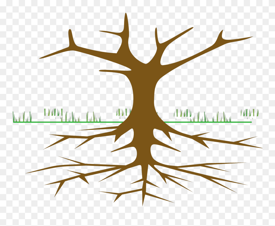 Tree With Roots Cartoon Clipart