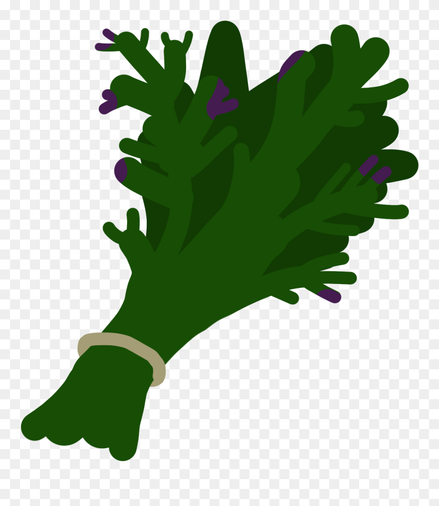 Cruciferous Vegetables Clipart