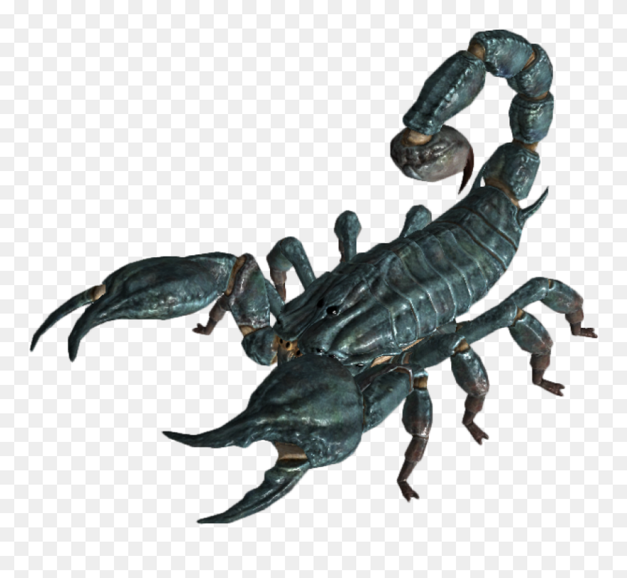 Scorpion Png Image - Fallout New Vegas Enemies Clipart