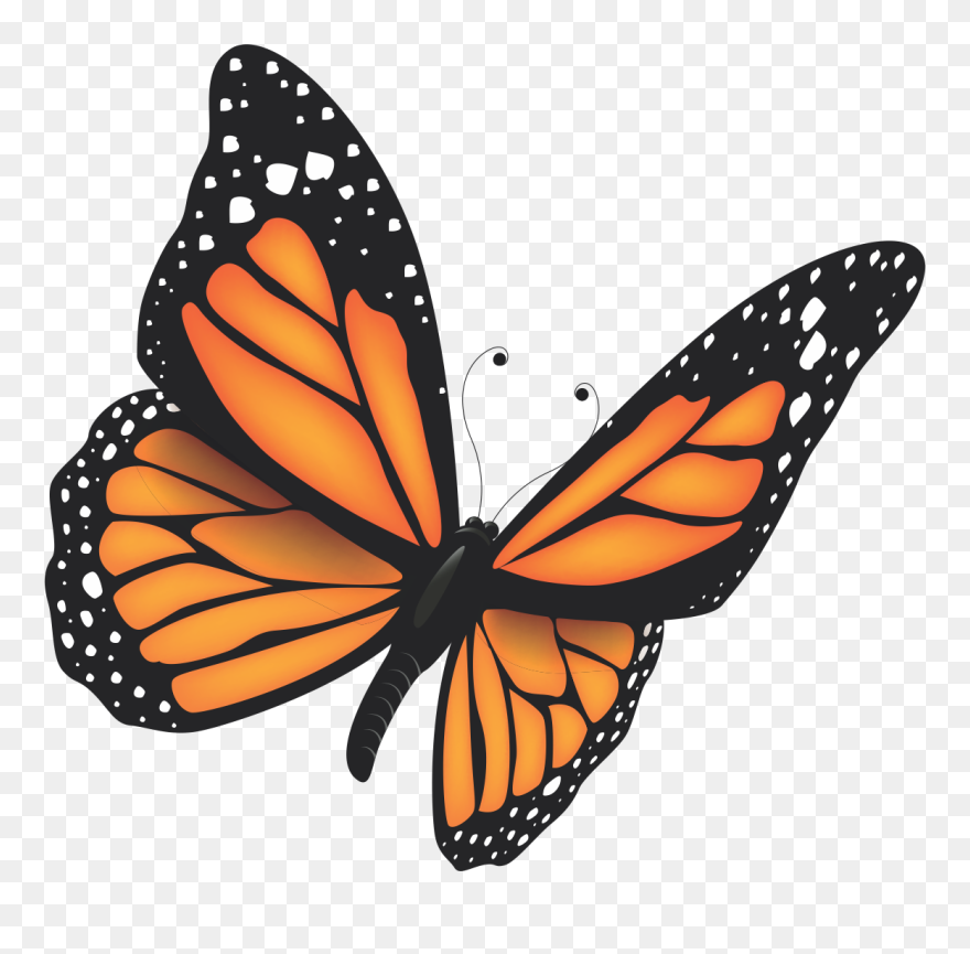 Monarch Butterfly Clipart