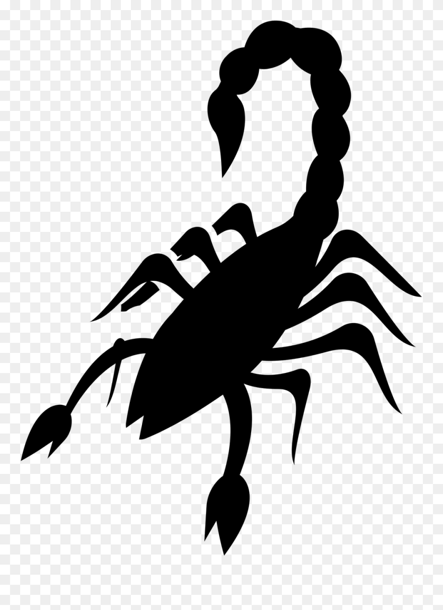 Scorpio Reptile Arachnid Free Photo - Scorpions Clipart