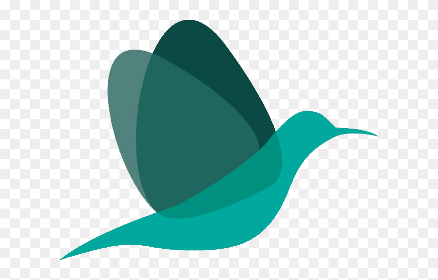 Palestine Museum Of Natural History Logo Clipart