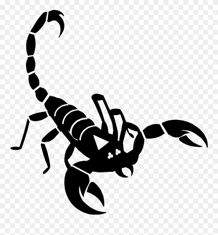 Black Scorpion Transparent Image - Scorpion Png Clipart