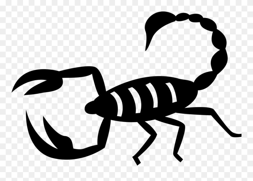 Vector Illustration Of Predatory Arachnid Scorpion - Vetores Escorpião Png Clipart