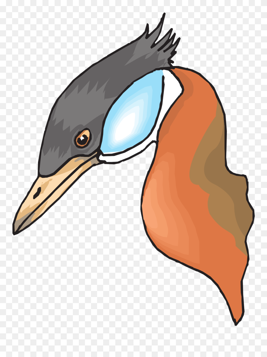 Long Necked Duck Head Png Images Clipart