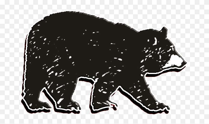 American Black Bear Clipart