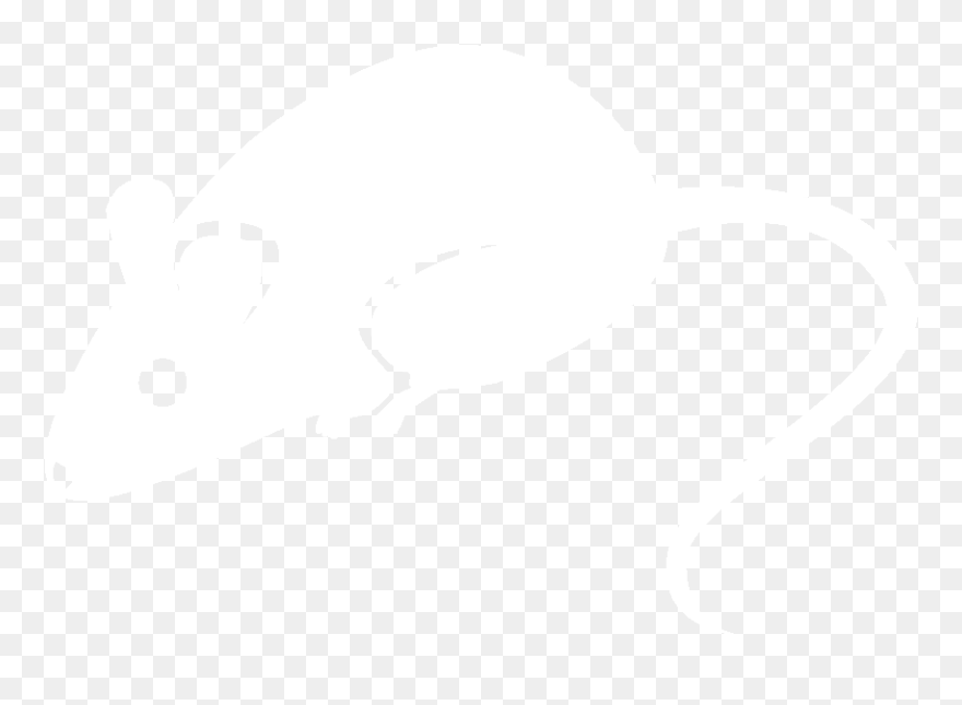 Food Mammals Mouse Clipart