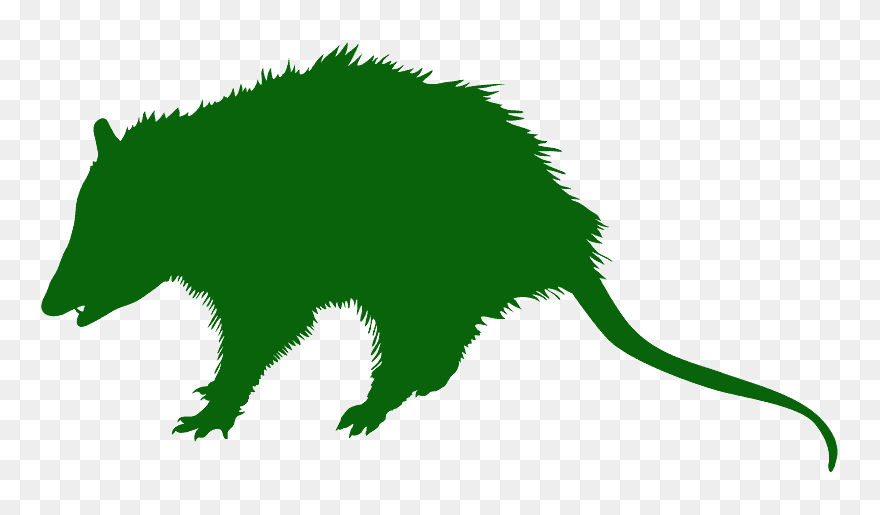 Opossum Silhouette Clipart