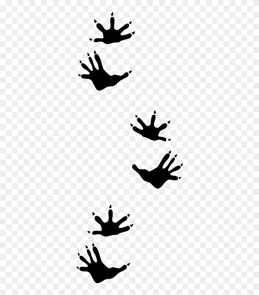Opossum Possum Paw Print Clipart