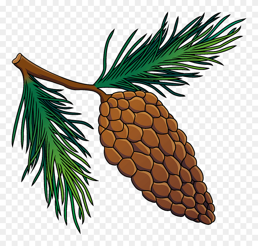 Pine Cone Clipart - Png Download