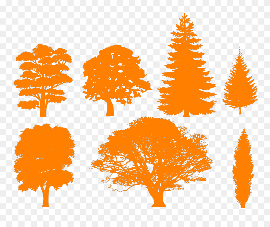 Black Circle Trees Svg Clip Arts - Draw A Tree Silhouette - Png Download