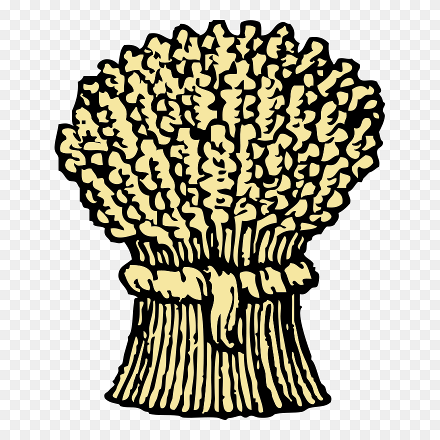 Wheat Clip Art - Png Download