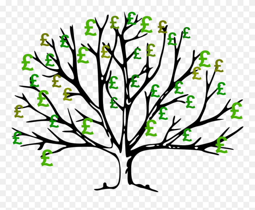 Tree Branches Drawing Clipart