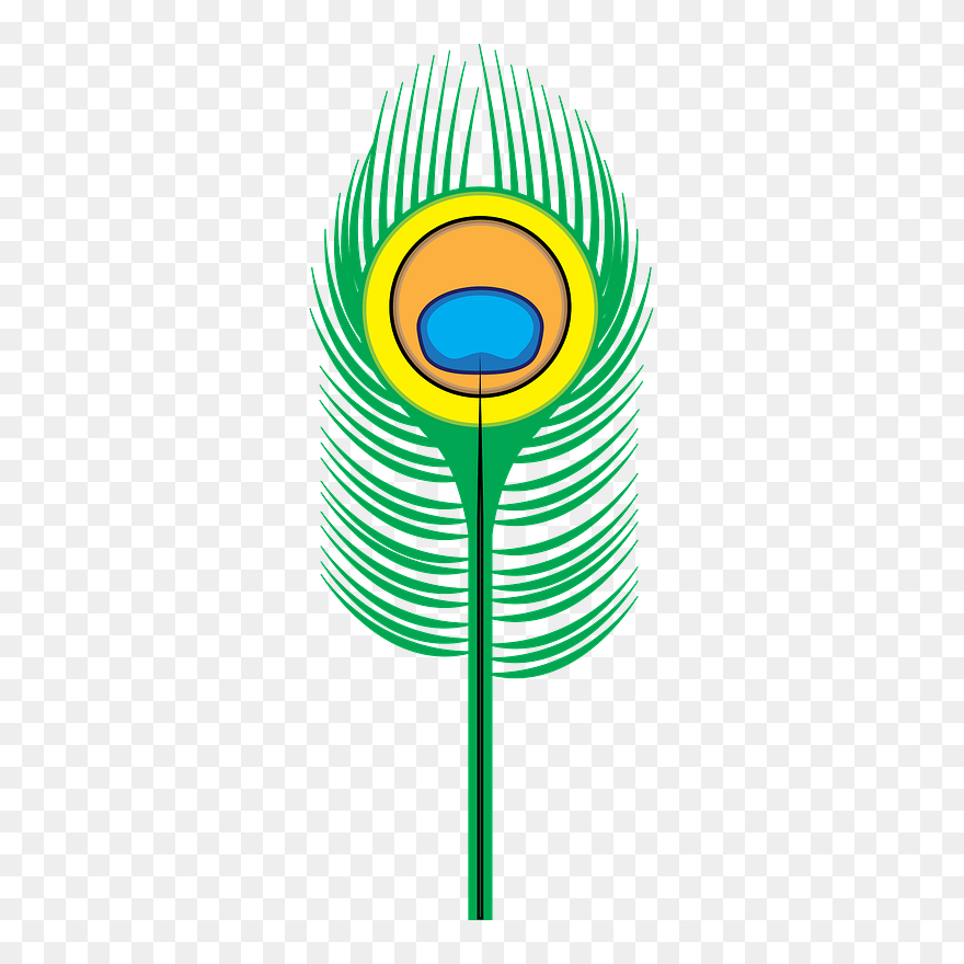 Peacock Feather Clipart - Clip Art Peacock Feathers - Png Download
