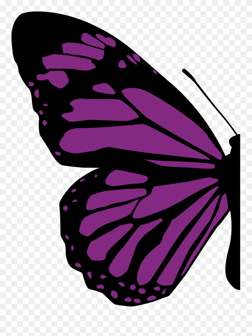 Half Of Butterfly Png Clipart