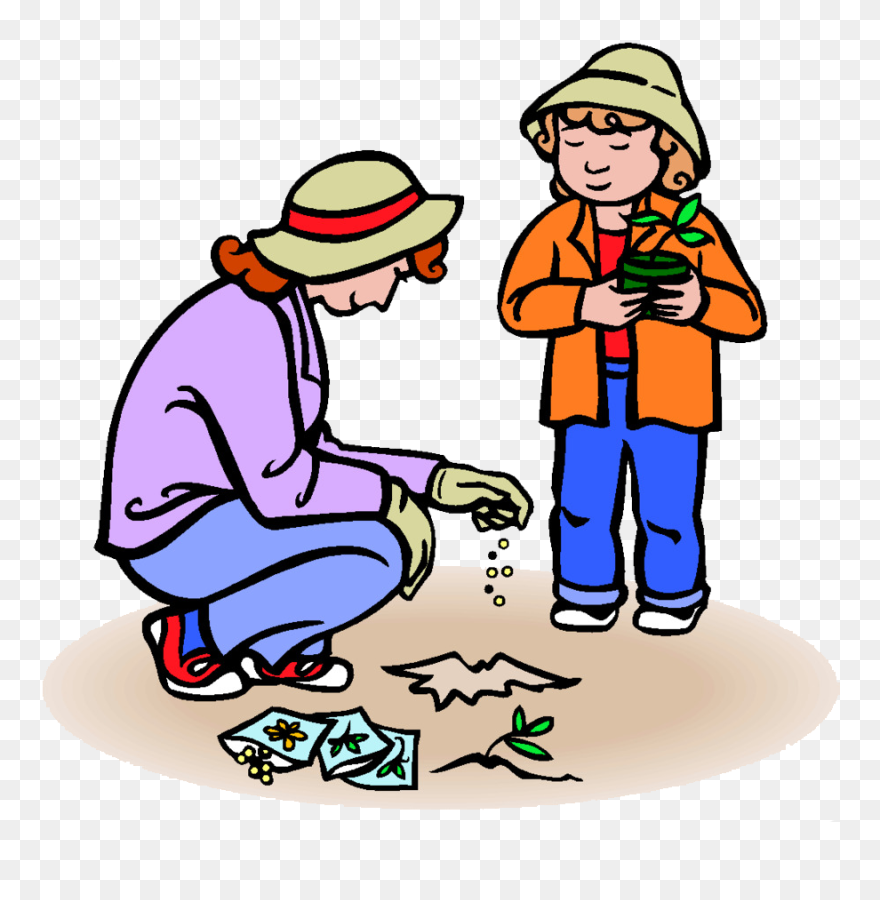 Planting Seeds Clipart - Png Download