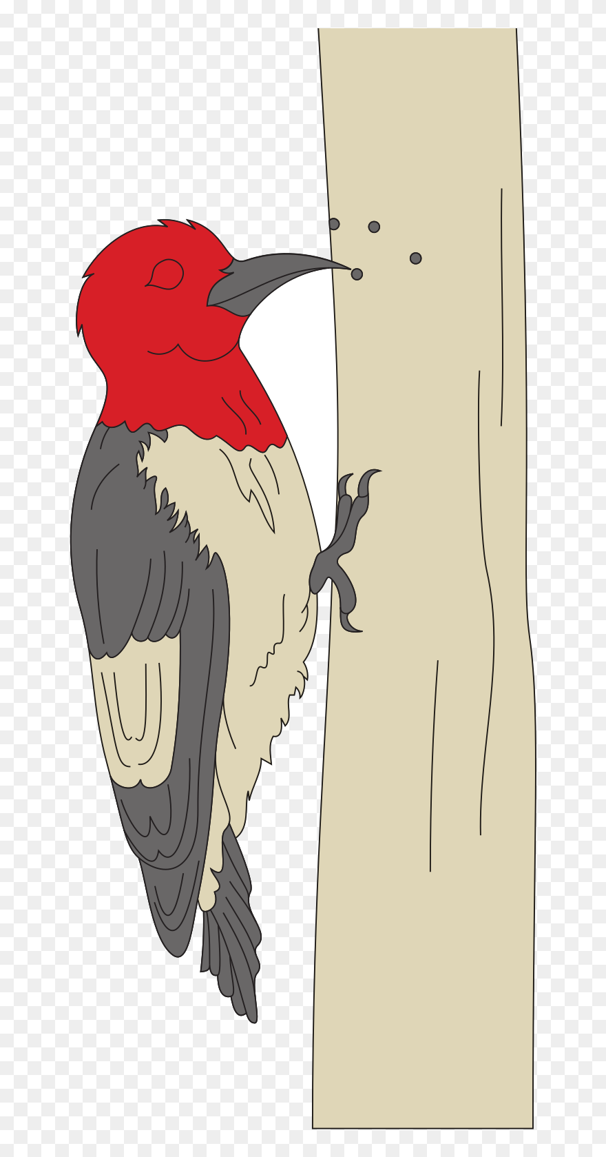 Clip Art Wood Paker - Png Download