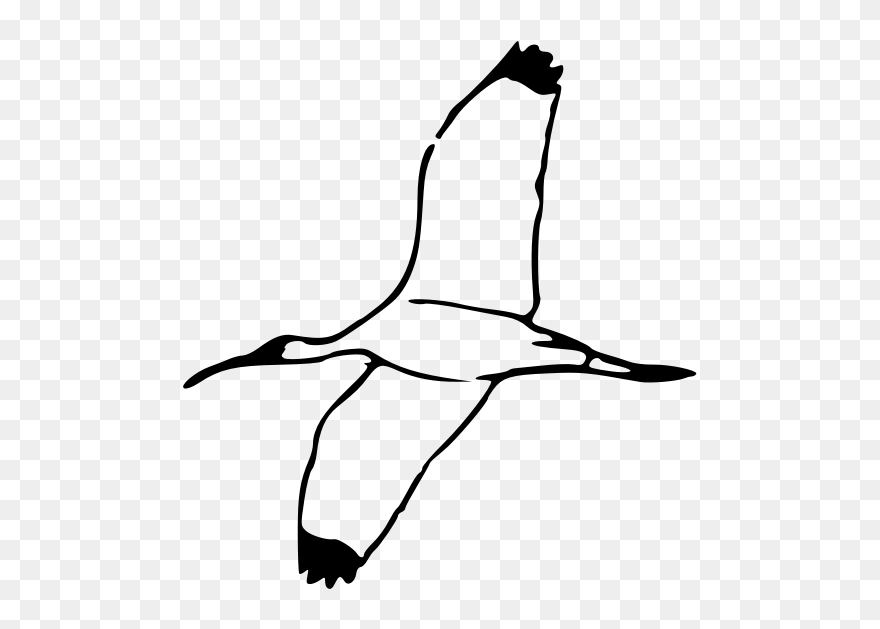 Bird Flying Up Vector Image - Bird Flying Clipart Black And White - Png Download