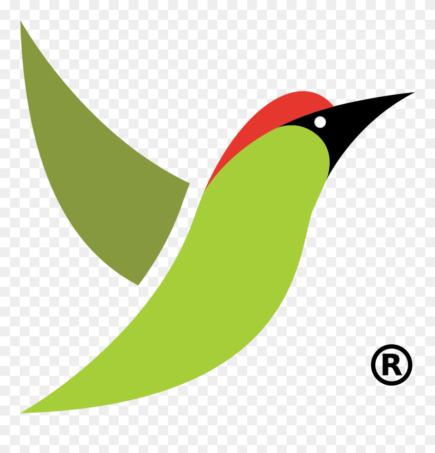 Yaffle English Academy Clipart