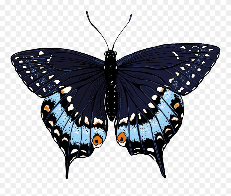 Unemployment Clipart - Png Download