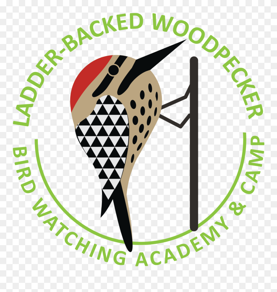 Ladder-backed Woodpecker Picture Clipart