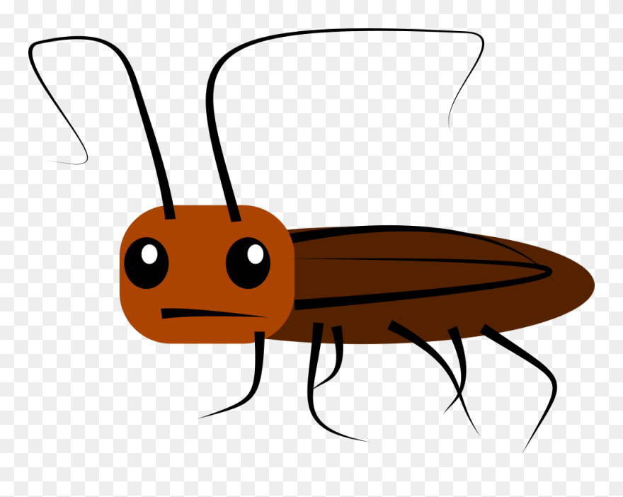 Transparent Cockroach Png Clipart
