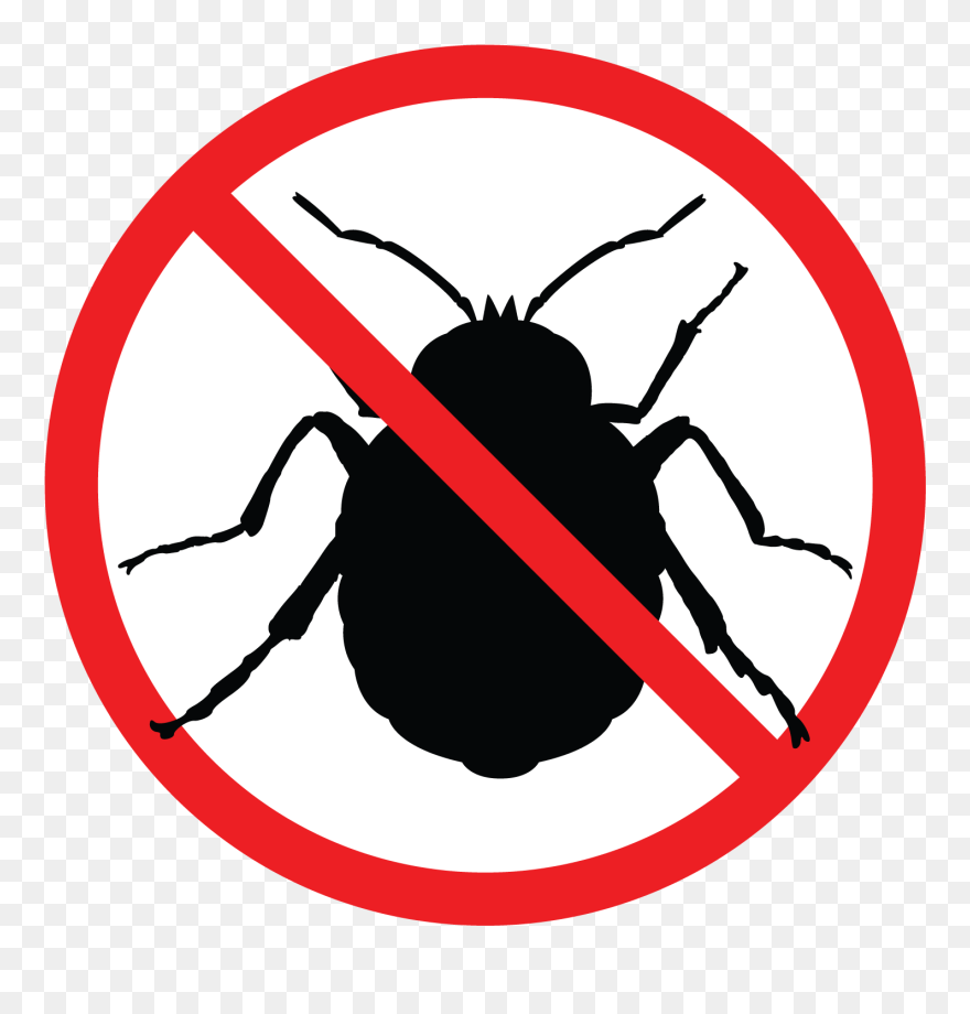 Clip Art - Png Download