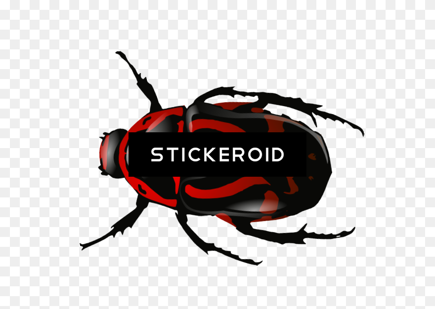 Transparent Clipart Bugs Insects - Beetle Clip Art - Png Download