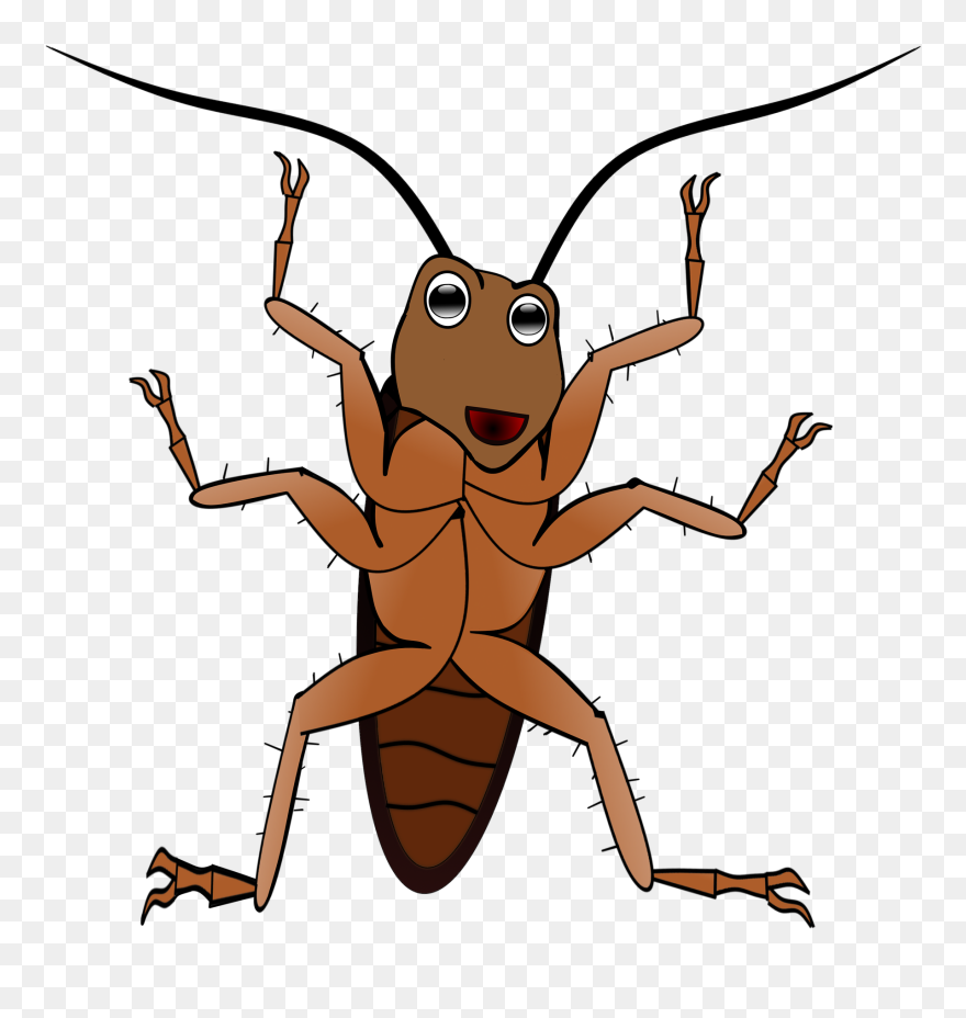 Roach - Antena Da Barata Clipart