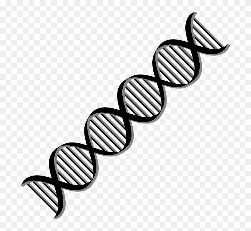 Dna Helix Variation - Double Helix Dna Clipart - Png Download