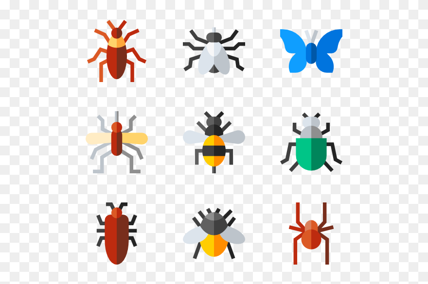 Insects Flat Icon Png Clipart