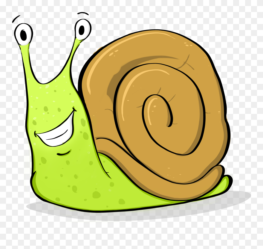 Washington State Invertebrate Mollusk Clipart