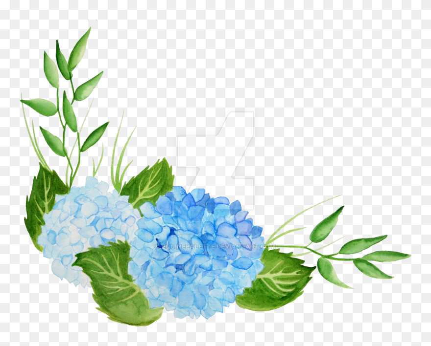 Hydrangea Transparent Watercolor - Transparent Background Hydrangea Clipart - Png Download