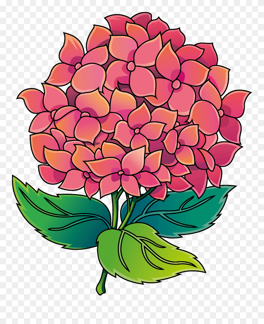 Illustration Clipart