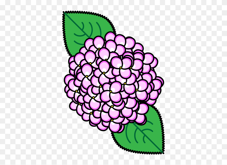 Flower French Hydrangea Monochrome Painting - Hydrangea Clipart