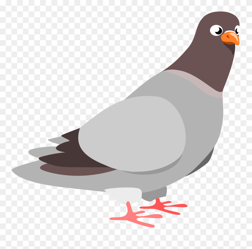 Piegeon Clipart Graphic Free Stock Free Pigeon Cliparts, - Pigeon Clipart - Png Download