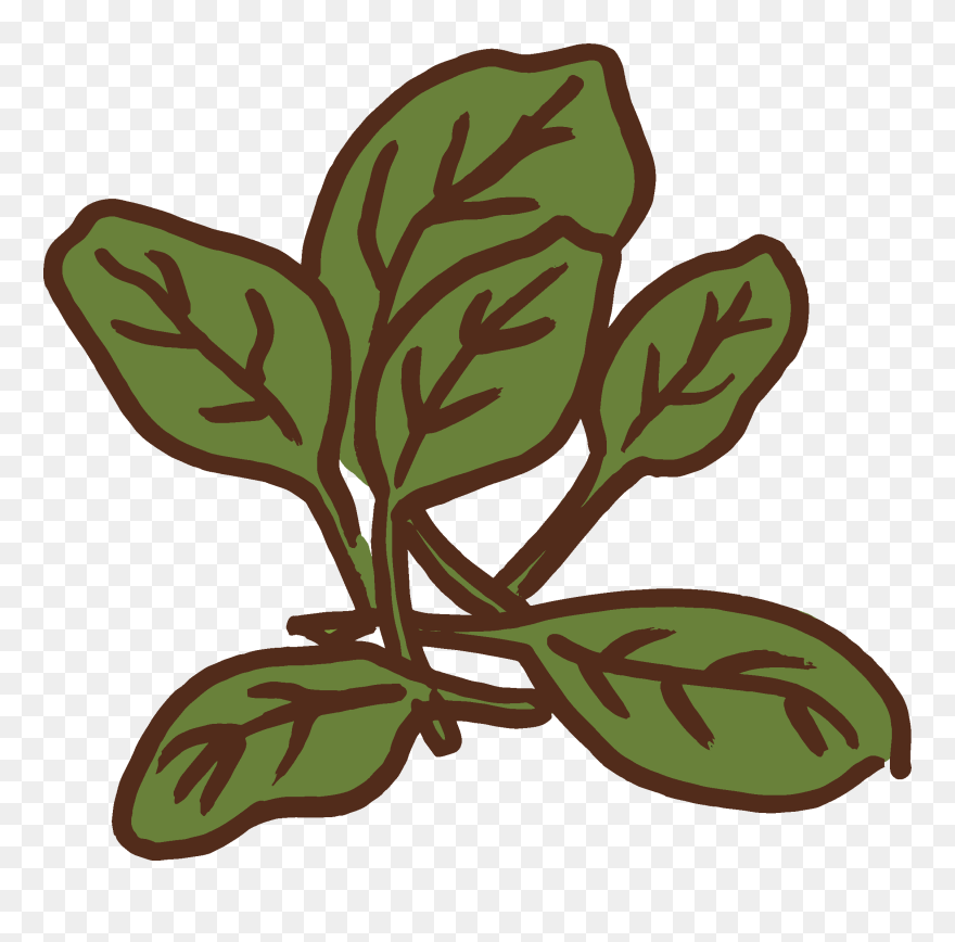 Clip Art - Png Download