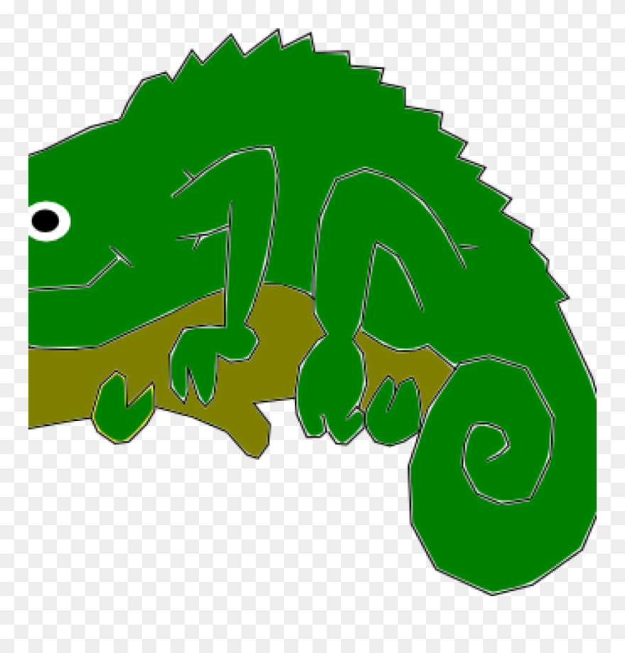 Transparent Chameleon Clipart - Chameleons - Png Download