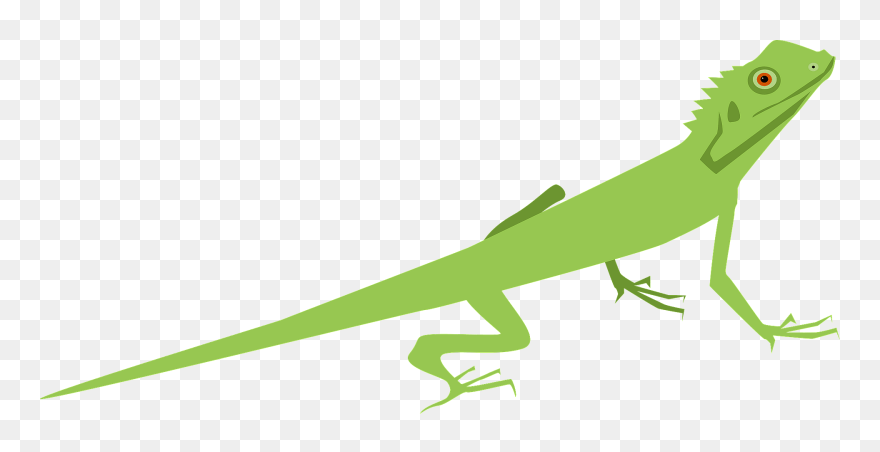 Lizard Clipart - Png Download