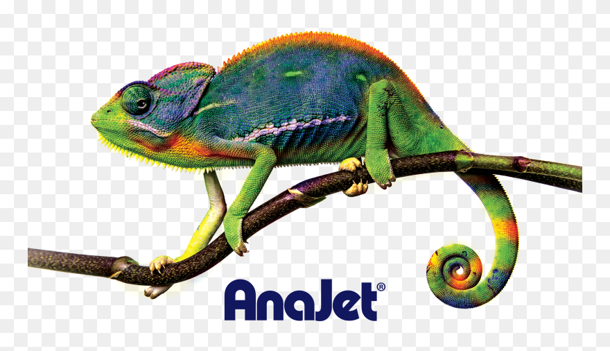 Chameleon Clipart Adaptation - Png Download