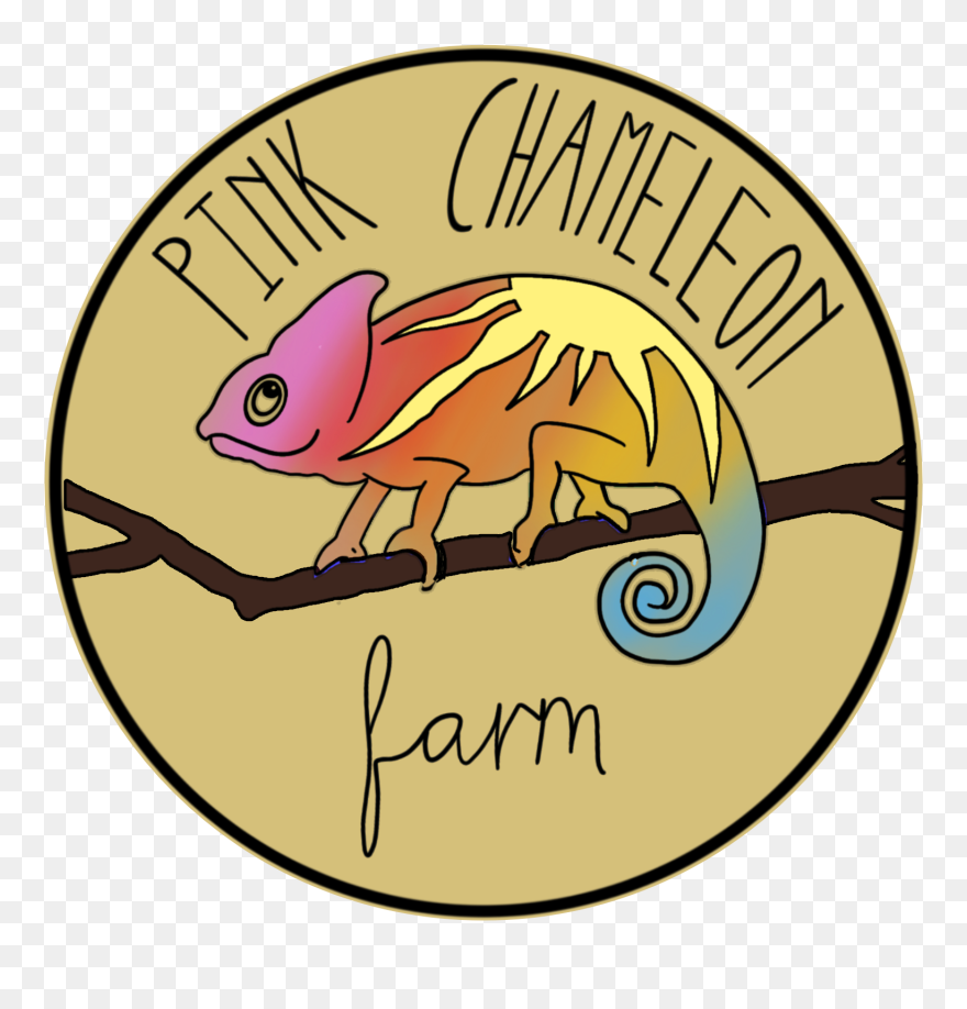 Pink Chameleon Farm Clipart