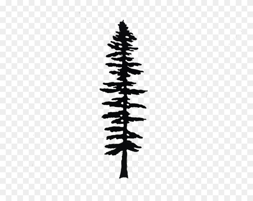 Oxtongue Craft Cabin & Gallery Sitka Spruce Fir Tree - Transparent Background Redwood Tree Clipart - Png Download