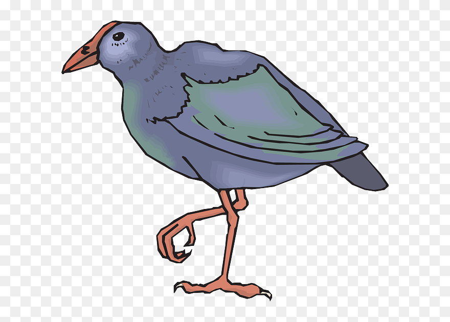 Bird, Wings, Leg, Animal, Feathers, Bent, Legs - Takahe Clipart - Png Download