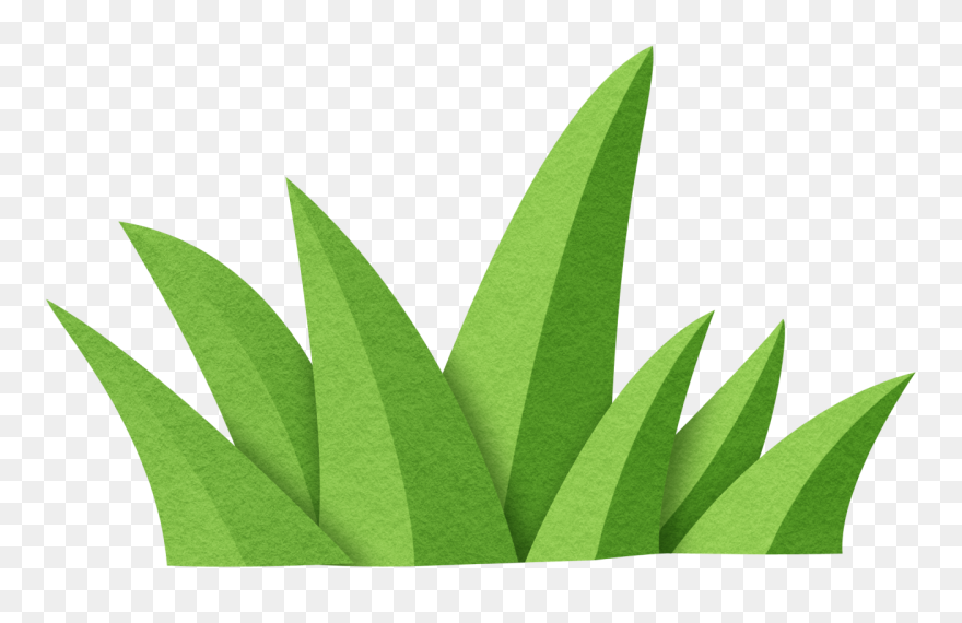 Transparent Jungle Plant Clipart - Jungle Plant Cartoon - Png Download