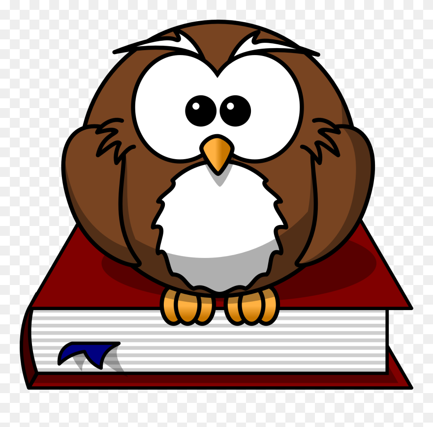 Cartoon Owl Clipart